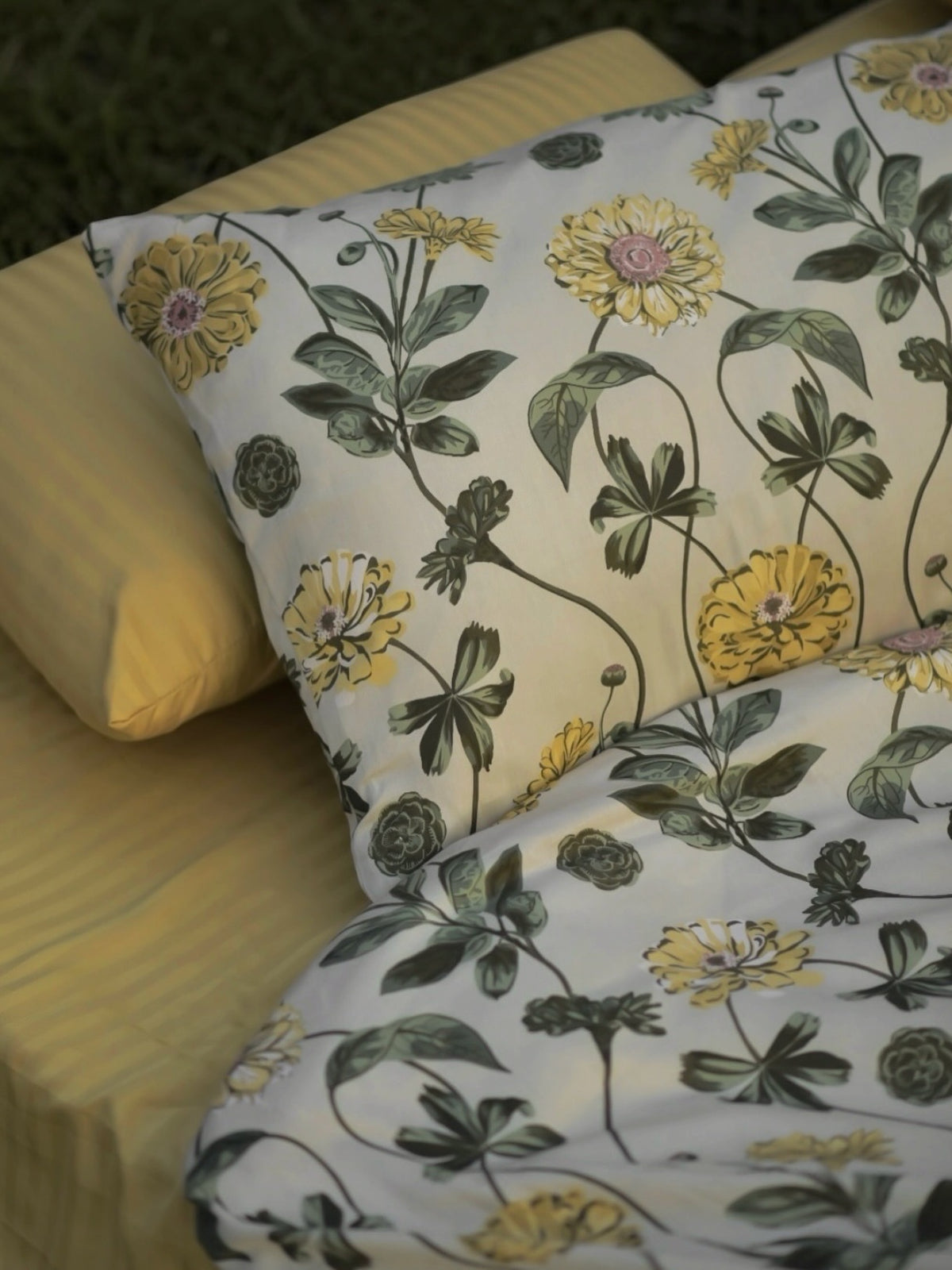 Golden Meadow