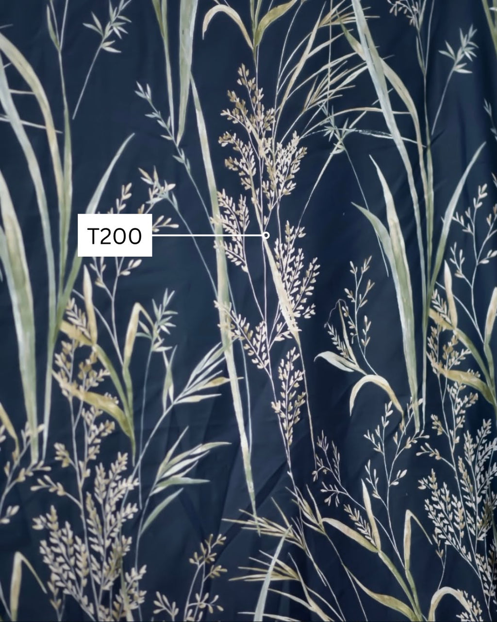 Wild Reed