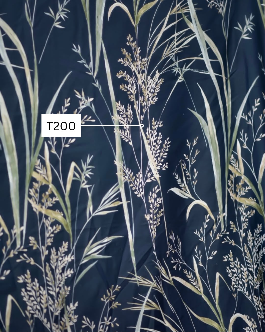 Wild Reed