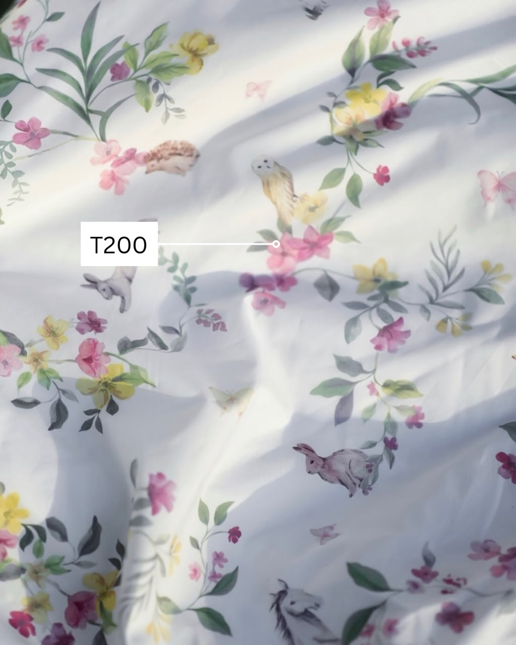 Woodland Whimsy